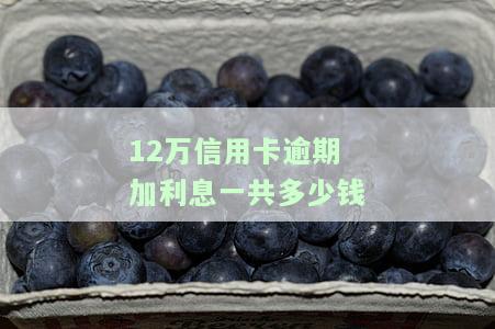 12万信用卡逾期加利息一共多少钱呢，计算逾期12万信用卡的总金额：利息如何影响还款数额？