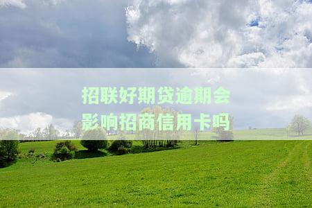 招联好期贷逾期是否会影响招商信用卡？知乎探讨