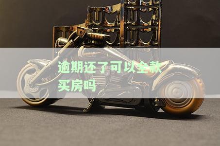 贷款逾期可以全款买房吗，逾期还款能否影响全款购房？——关于贷款逾期与全款买房的探讨