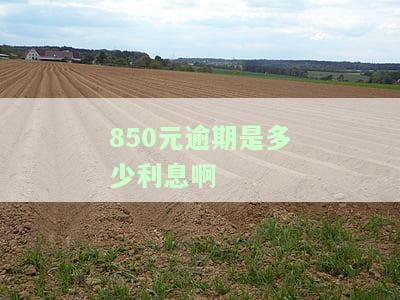 如何计算850元逾期的利息？