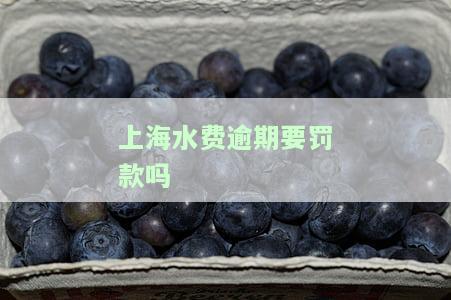上海水费逾期要罚款吗现在，上海水费逾期是否会产生罚款？最新规定解析