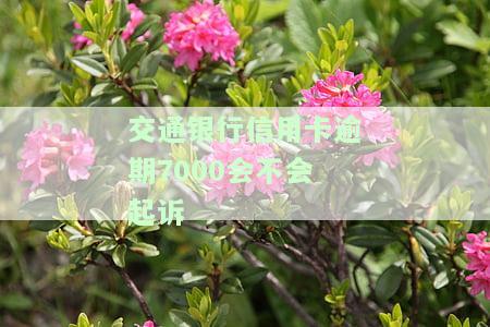 交通信用卡5000逾期2年会被上门调查吗，逾期两年的交通信用卡5000元，是否会有工作人员上门调查呢？
