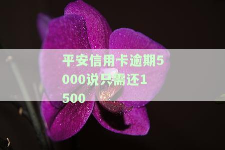 欠平安信用卡五千,会被警察抓吗，欠平安信用卡五千是否会被警察抓？你需要知道的一切