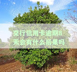交行信用卡逾期8天会有什么后果吗怎么办，交行信用卡逾期8天的严重后果及解决办法