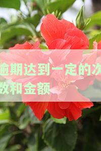 如何处理：逾期达到一定次数和金额的情况