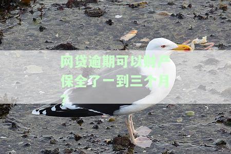 网贷逾期被财产保全：如何解除及影响微信支付的时间？