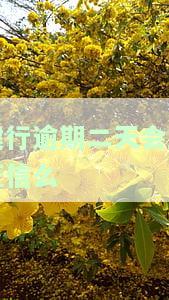 建行逾期两天会否影响征信？