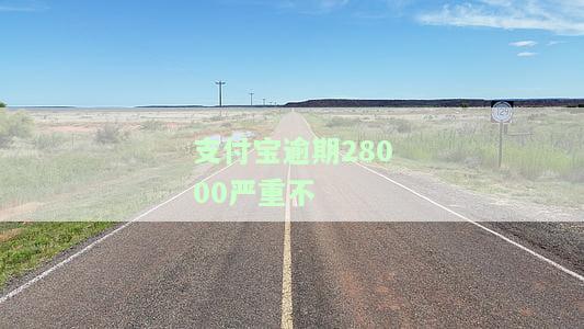 支付宝逾期两万多属于严重的吗，支付宝逾期两万多是否属于严重情况？