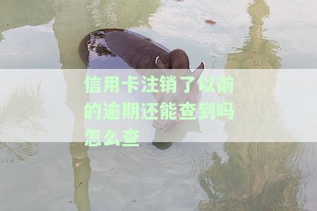 信用卡注销了以前的逾期还能查到吗怎么查，信用卡注销后，如何查询之前的逾期记录？