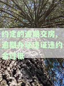 逾期交房违约金定什么案由，逾期交房违约金：确定合适的案由探讨