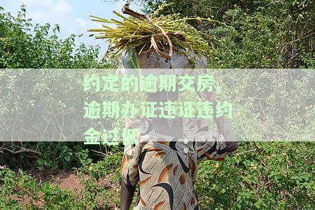 约定的逾期交房、逾期办证违证违约金过低-逾期交房违约金与逾期办证违约金