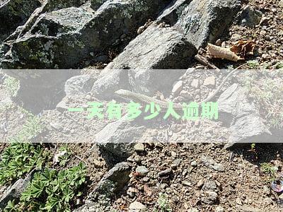每天有多少人逾期，包括网贷和上征信的情况