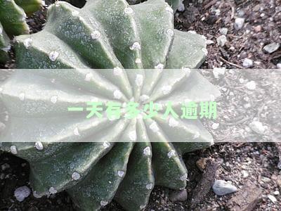 2020多少人逾期，与2021、2020年逾期人数对比分析