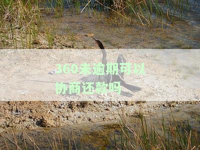 360没还款会怎么样？后果严重，如何处理？