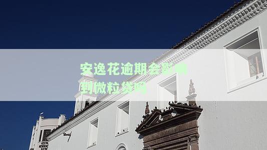 安逸花逾期会不会影响支付宝使用，安逸花逾期是否会影响支付宝的正常使用？