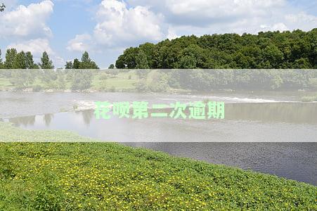 花呗第二次逾期多久会打电话给家人，警惕！花呗二次逾期可能导致电话催收并牵连家人
