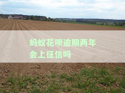 花呗逾期两年后如何恢复使用及额度？