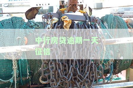 房贷逾期1天征信，重要提醒：房贷逾期1天也会对征信产生影响！