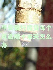 平安银行房贷逾期多久会带来不良影响及信用记录问题？错过一天还款会有何后果？