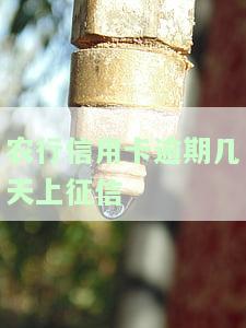 农行信用卡逾期几天征信多久可以消除，农行信用卡逾期后，征信记录需要多长时间才能消除？