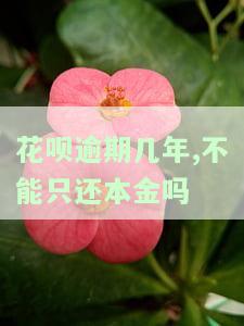 花呗逾期几年后还清，多久能恢复使用资格？