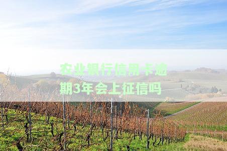 农业信用卡3万多逾期五年，利息多少？会对账户产生什么影响？