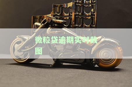 微粒贷逾期实时截图