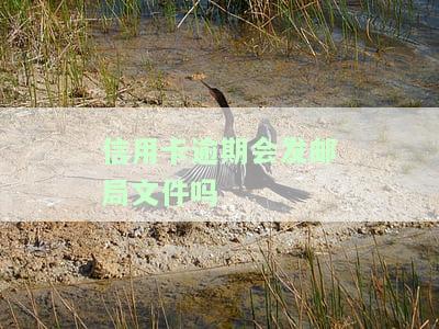 信用卡逾期会发邮局文件吗-信用卡逾期会发邮局文件吗知乎