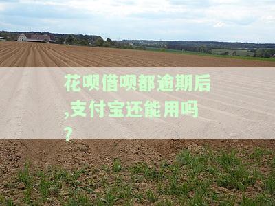 花呗借呗都逾期后,支付宝还能用吗怎么办，花呗、借呗逾期未还，支付宝账户还能使用吗？解决方案大揭秘！