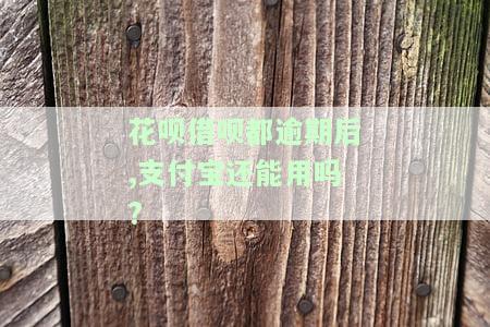 支付宝借呗、花呗逾期，客服要求先还借呗，如何操作？