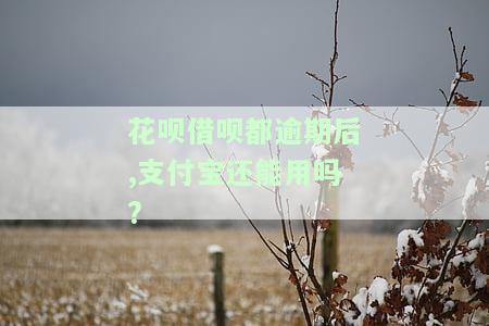 支付宝花呗借呗逾期了还能付款转账吗，逾期还款后，支付宝花呗和借呗能否继续使用进行支付和转账？