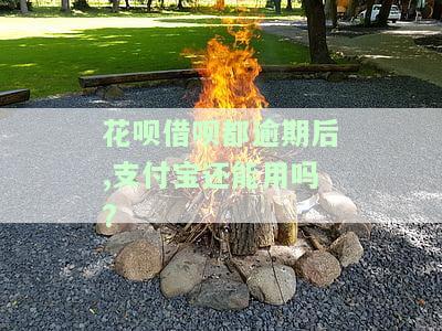 花呗借呗都逾期后,支付宝还能用吗?-花呗借呗都逾期后,支付宝还能用吗