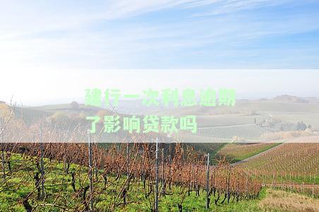 建行一次利息逾期了影响贷款吗