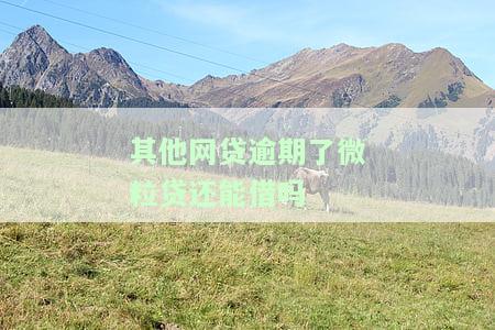 其他网贷逾期，影响微粒贷借款的安全性？