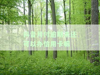 抖音月付逾期未还可以办信用卡吗？安全风险如何？