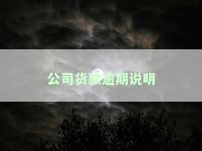 公司贷款逾期情况说明文，详解公司贷款逾期情况说明文