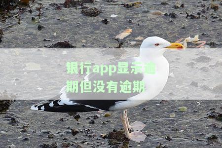 没有逾期为什么银行显示有逾期记录？