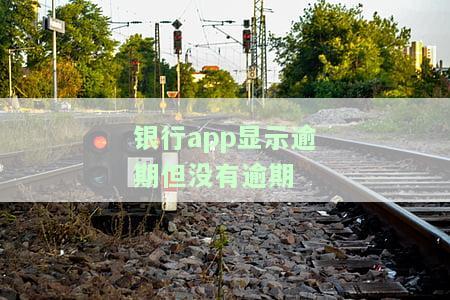 明明没有逾期过，银行却说有逾期记录：真相是什么？