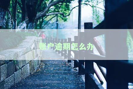 账户逾期怎么办？如何处理信用卡、蓄卡逾期情况？