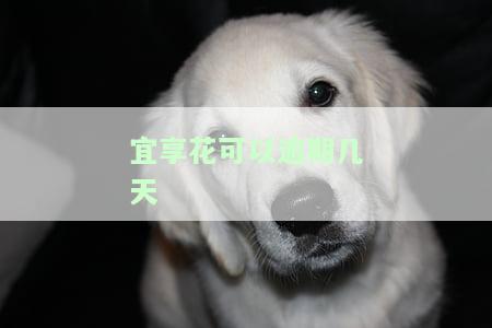 宜享花逾期几天联系家人？多久打联系人？逾期几个月怎么处理？