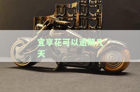 宜享花逾期几天打联系人？影响严重吗？