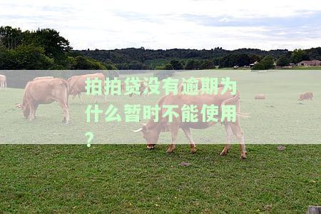 拍拍贷没有逾期为什么暂时不能使用?-拍拍贷没有逾期为什么暂时不能使用了