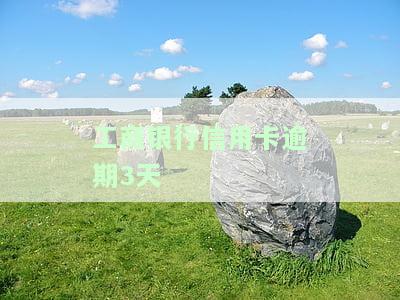 工商银行信用卡逾期3天会有不良记录吗，工商银行信用卡逾期3天是否会产生不良记录？