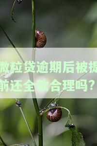微粒贷逾期要求提前结清怎么办，如何应对微粒贷逾期，提前结清的要求？
