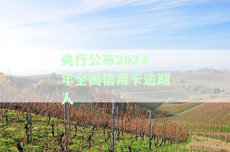 2020年信用卡逾期人数及金额统计：揭示逾期真相