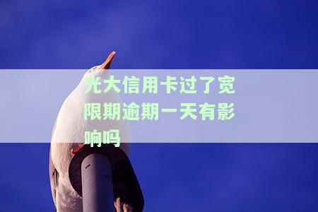 光大银行过了宽限期一天怎么办，逾期一天，光大银行贷款怎么办？