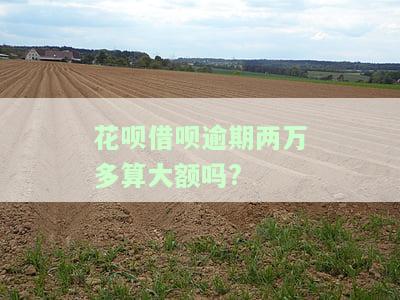 花呗借呗欠款两万多逾期多久会被起诉，警惕！花呗、借呗欠款两万多元逾期多久会面临被起诉的风险？