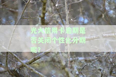 光大信用卡逾期能否继续办理个性化分期？解决方案是什么？