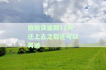 拍拍贷逾期后仍有额度，能否再贷款？安全性如何？
