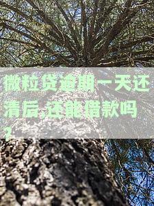 微粒贷逾期一天还清后,还能借款吗怎么办，解决你的疑虑：微粒贷逾期一天还款后，能否再次借款？